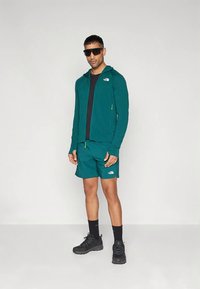 Sweatshirt com fecho de correr verde-azulado, com t-shirt preta por baixo, calções verde-azulado, ténis pretos e óculos de sol. Apresenta logótipos da The North Face nos artigos.
