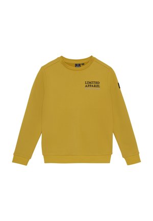 Indian Blue jeans LIMITED APPAREL - Sweatshirt - antique bronze