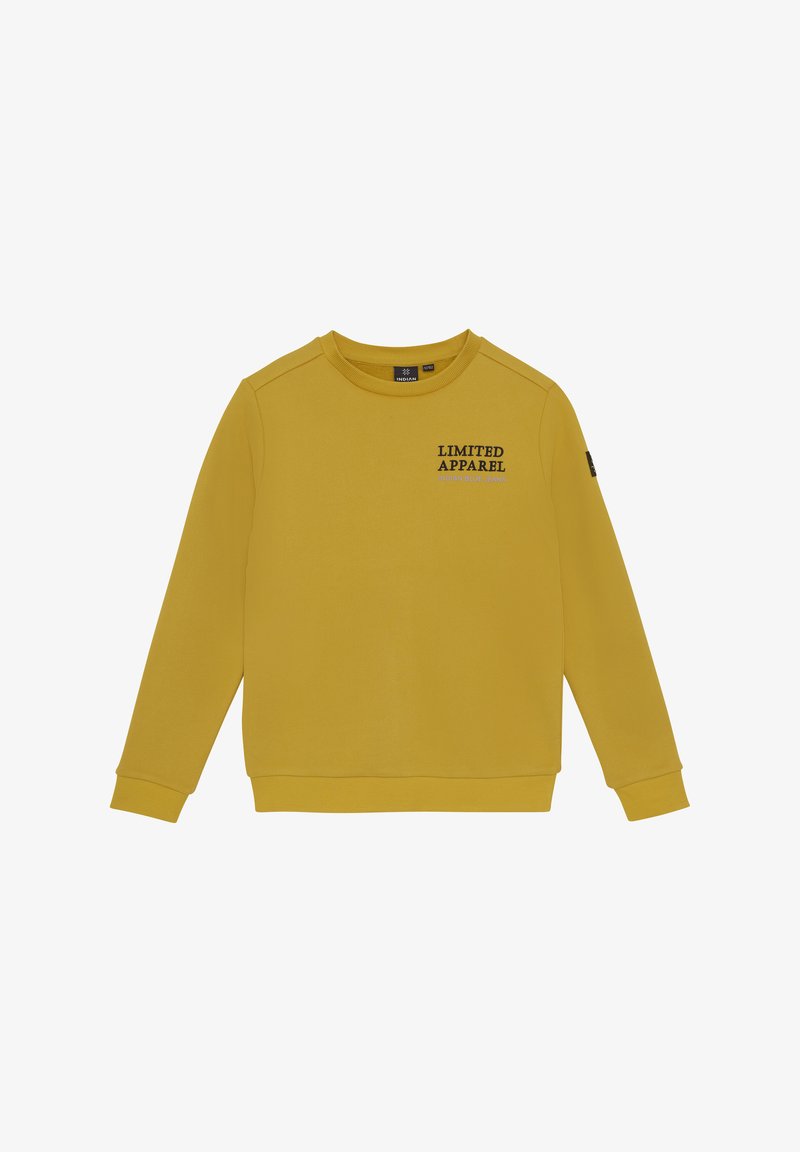 Indian Blue jeans LIMITED APPAREL - Sweatshirt - antique bronze