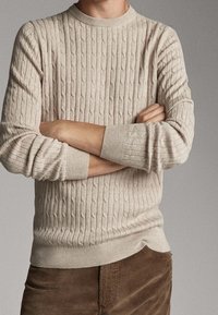 Beigenvärinen palmikkoneulottu pusero, jossa pyöreä pääntie ja resorit hihansuissa. Sisältää kuvioituja kuvioita ja istuvan siluetin.