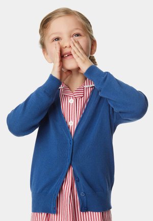 Blauer Cardigan mit V-Ausschnitt, langen Ärmeln und fünf Knöpfen. Getragen über einem rot-weißen gestreiften Hemd mit Kragen.