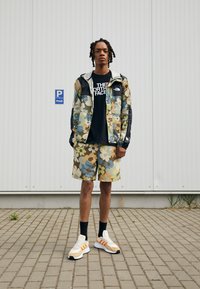 The North Face M SEASONAL MOUNTAIN JACKET - EU - Casaco para exterior - military olive heritage