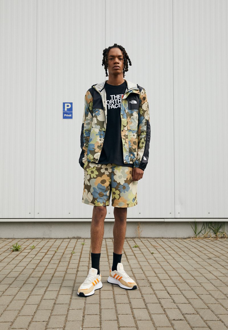 The North Face M SEASONAL MOUNTAIN JACKET - EU - Casaco para exterior - military olive heritage