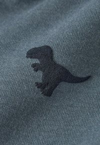 Sivi materijal s mekom teksturom koji prikazuje siluetu crnog dinosaura. Dizajn je jednostavan i minimalistički, naglašavajući detalj dinosaura.