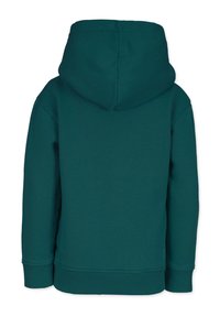 Turkos hoodie med dragsnöre för huvan, ribbade ärmslutar och midja. Slät yta, inga synliga mönster eller detaljer. Bakvy.