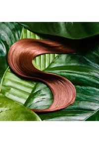 Długie, falujące, rudobrązowe włosy układają się w kształt litery S na dużych, błyszczących zielonych liściach z wyraźnym unerwieniem i gładką fakturą.