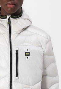 Giacca argentata imbottita con cappuccio, dotata di chiusura frontale con zip nera, tasche laterali e etichetta del marchio gialla e nera sul petto.