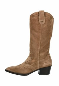 Stivale da cowboy in suede marrone con punta affusolata, cuciture decorative e piccoli borchie. Presenta un tacco a blocco basso e un tassello di rinforzo per la presa.