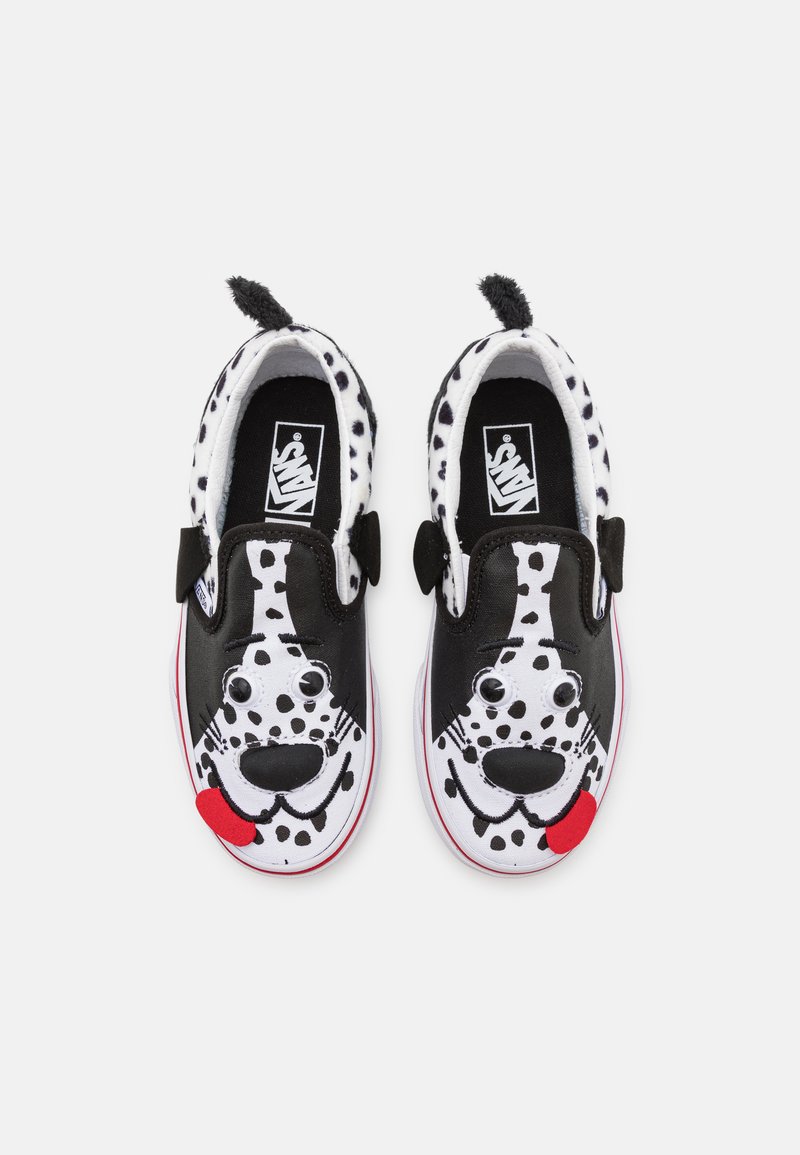 vans dog