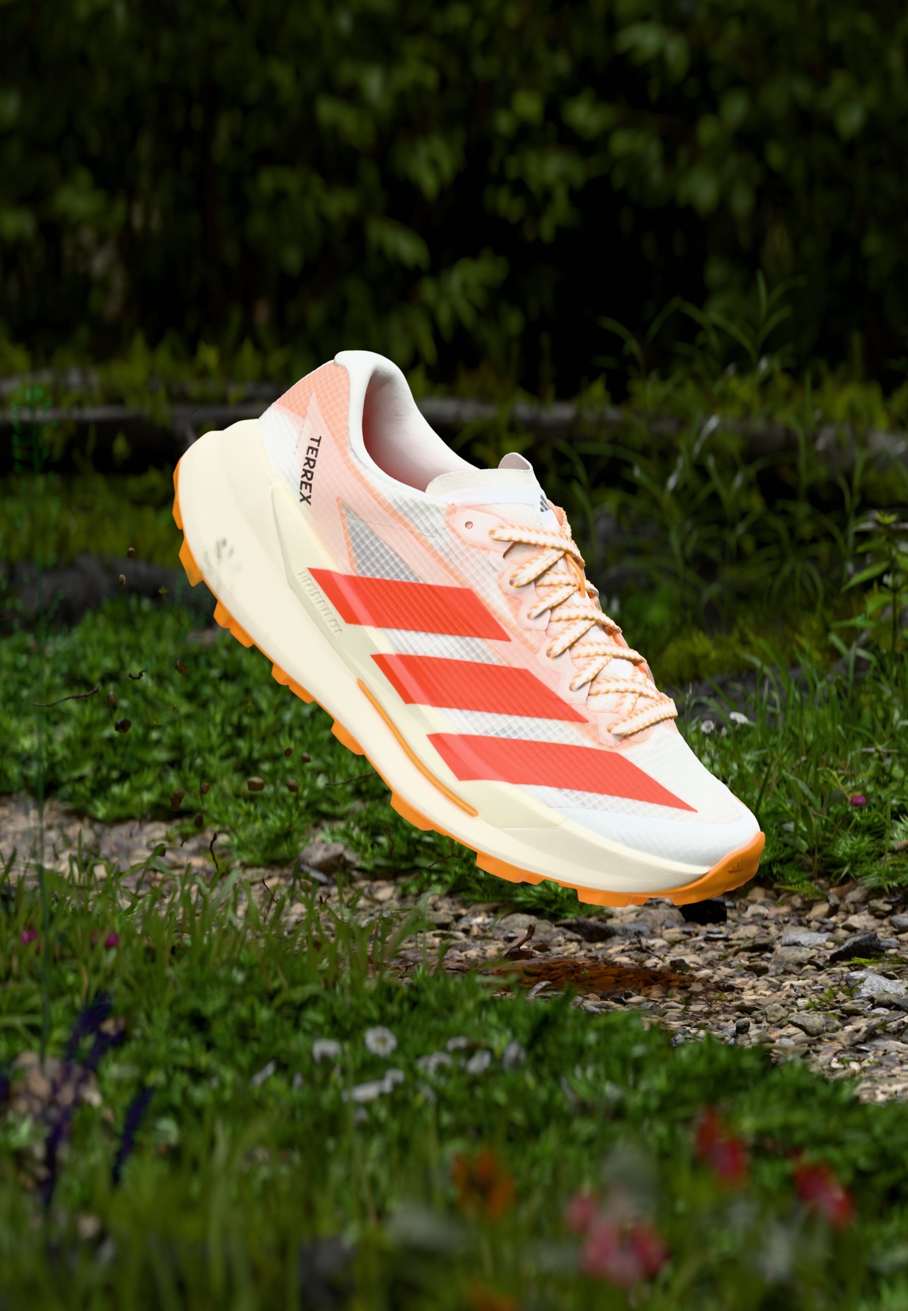 adidas Terrex AGRAVIC TT - Zapatillas de trail running - footwear