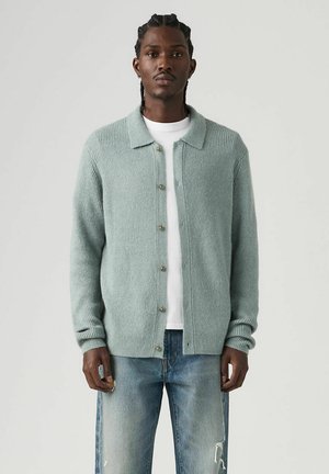 CATALINA - Cardigan - lead