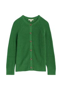 Roheline kudumitega kardigan ümmarguse kaelusega ja raglanlõikega varrukatega. Omab nööpidega eestminekut pruunide nööpidega ning soonikuid varrukaotstes ja alumises servas.