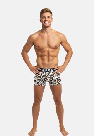 Boxer-briefs pour hommes à imprimé léopard, avec une taille noire portant le nom de la marque. Le matériau semble doux et extensible.