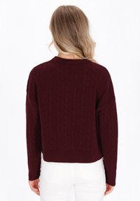 Burgunderfarbener Pullover mit Kabelstrickmuster und verkürztem Schnitt, geripptem Saum und weiterem Ärmel, von hinten vor einem weißen Hintergrund präsentiert.