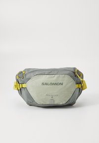 TRAILBLAZER BELT UNISEX - Gürteltasche - sedona sage/seagrass/cress green