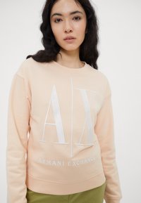 Felpa color pesca chiaro con logo "AX" ricamato in bianco e testo "ARMANI EXCHANGE". Collo a giro, vestibilità rilassata e polsini e orlo a costine.