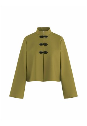 HYPEDROP, SHIRT HDJANA LS MANDARIN - Chemisier - green moss
