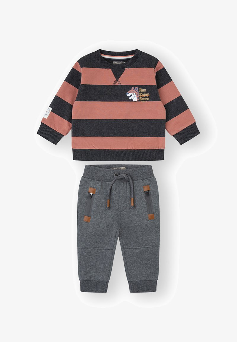 Conjunto para niño pequeño que incluye sudadera de manga larga a rayas rosas y negras con un gráfico de tigre y pantalones jogger grises con cordón ajustable y bolsillos con cremallera.