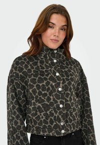 Geknipte jas met luipaardprint in bruin- en grijstinten, met een hoge kraag en zilveren knopen aan de voorkant.