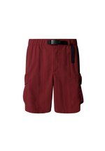 The North Face Shorts