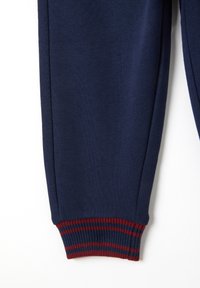 Los pantalones jogger azul marino presentan puños acanalados con rayas rojas y marrones, están hechos de una tela suave y tienen una silueta ajustada.