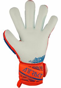 Reusch ATTRAKT FREEGEL - Torwarthandschuh - 2210 hyper orng elec blue