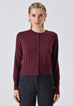 Donna con i capelli biondi tirati indietro, che indossa orecchini a cerchio dorati, un cardigan bordeaux con bottoni e pantaloni scuri su uno sfondo neutro.