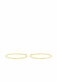 Orecchini a cerchio in oro con una finitura liscia e lucida. Forma circolare con un design sottile, dotati di chiusure a scatto sicure.
