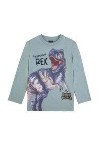 Grünes Langarm-T-Shirt mit einem großen Grafikmotiv eines Tyrannosaurus Rex, mit dem Text "Tyrannosaurus REX" und "DINO WELT."