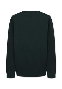 Dunkelgrüner Langarm-Pullover mit Rundhalsausschnitt, mit gerippten Bündchen und Saum, flach von hinten auf einem weißen Hintergrund präsentiert.