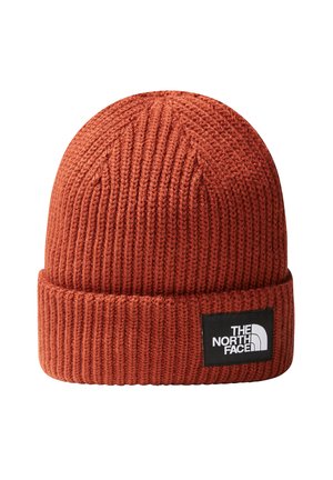 The North Face SALTY LINED BEANIE UNISEX - Berretto - brown