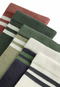 Next RICH 5 PACK - Calze - earthy tipped stripes