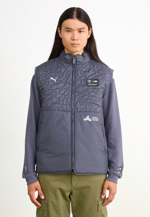BMW STATEMENT - Weste - galactic gray