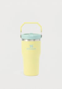 UNISEX - Drink bottle - pomelo