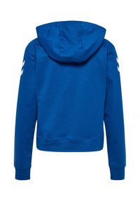 Blauwe hoodie met capuchon, lange mouwen en een rechte zoom. Heeft twee witte strepen op elke mouw. Gemaakt van zacht stof.