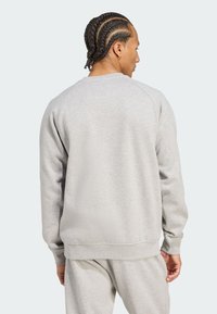Grå sweatshirt med rund halsringning, raglanärmar och ribbad kant. Mjuk textur och minimalistisk design utan mönster eller logotyper.