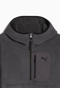Grau Fleece-Hoodie mit strukturiertem Innenfutter, Viertelreißverschluss vorne und einer Reißverschlusstasche mit logobezogenen Akzenten. Schwarze Borte entlang der Kante.