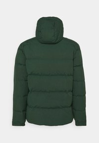 Patagonia DOWNDRIFT JACKET - Casaco de penas - northern green