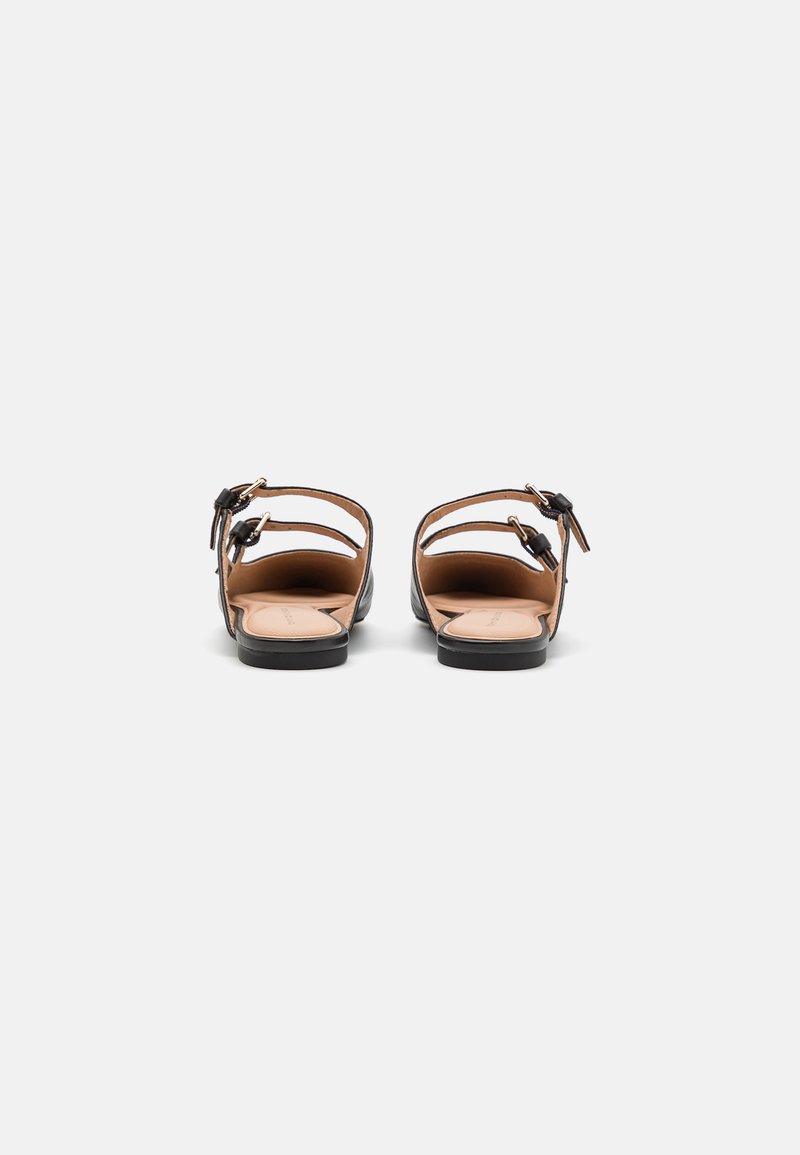 Tommy Hilfiger POINTY MULE - Pantolette flach - black/schwarz 