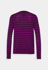 Donkerpaarse trui met lange mouwen en gelijkmatig verdeelde dunne horizontale roze strepen, vanachter gezien tegen een witte achtergrond.