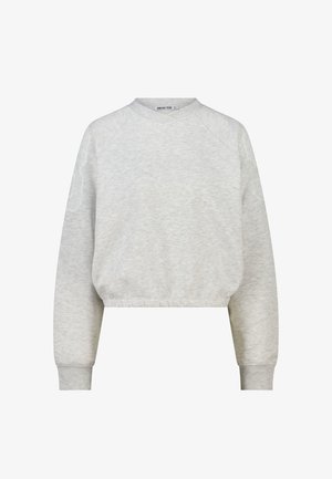 Light gray, long-sleeve crewneck sweatshirt with elasticized hem and cuffs, made from soft, textured fabric.