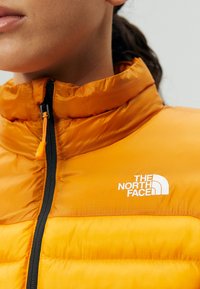 The North Face TERRA PEAK JACKET - Giacca invernale - apricot glaze/iron citrus