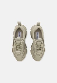 Steve Madden POSSESSIONE - Trainers - abbey stone