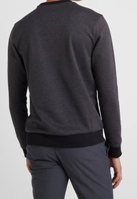 Mörkgrå sweatshirt med slät textur, ribbade krage och muddar samt en figurformad midjeresår, sedd bakifrån.