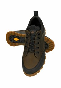 Pár hnědých a černých turistických bot s tlustými gumovými podrážkami a tkaničkami, zobrazující vzor dezénu a poutka, na bílém pozadí.