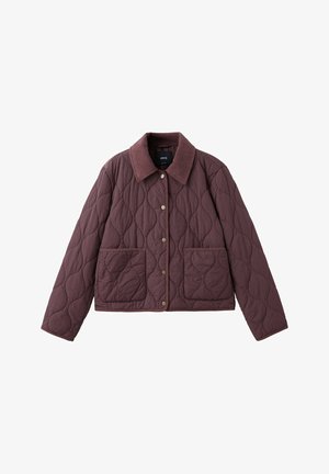 Mango Kids, TEEN - Chaqueta de entretiempo - purple