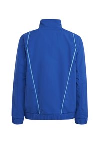 Blaues Jacket mit hohem Kragen, elastischen Bündchen und Saum. Kontrastierende Paspelierung entlang der Nähte sorgt für visuelle Details. Glattes, strukturiertes Material.