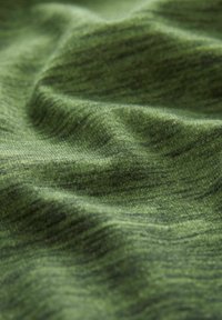 Next DIP DYE GRAPHIC - T-shirts print - green chest graphic