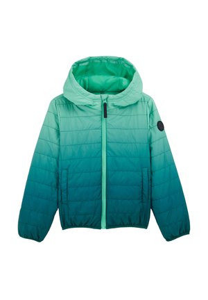 BLUE RIDGE - Allvädersjacka - green blue