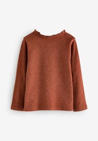 Next POINTELLE  - REGULAR FIT - Svetrík - rust brown